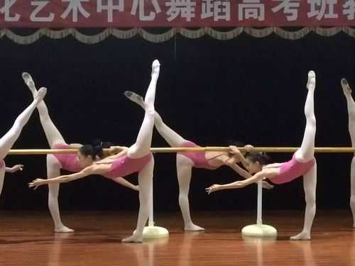 河南省舞蹈艺考视频（河南省艺考舞蹈专业考试内容）