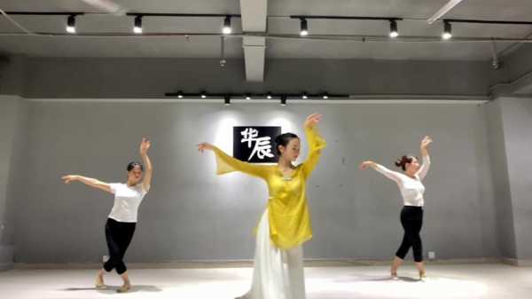 适合艺考的古典舞教学视频（古典舞考试视频）