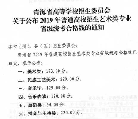 2019青海省艺考时间（青海省艺考时间2023）