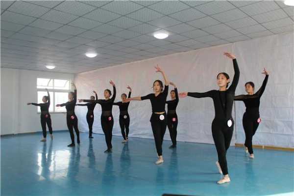 临汾艺考舞蹈培养学校（临汾哪里学舞蹈比较专业）