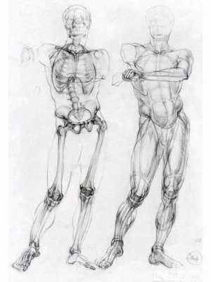 人体解剖手绘艺术（人体解剖手绘优秀作品）