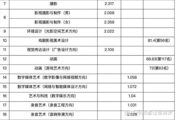 北京艺考机构价格（北京艺考机构费用）