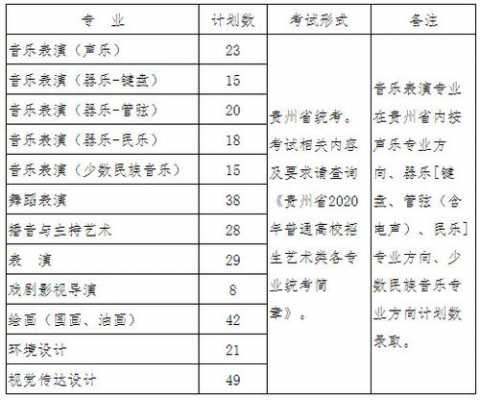 贵州省艺考2020简章（贵州省艺考内容）