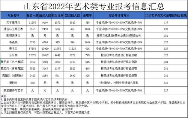 湖南省高考美术艺考志愿表（湖南2021年高考美术录取原则）